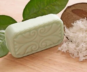 coconut lime verbena