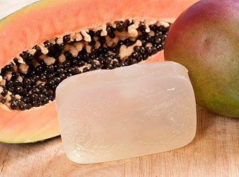 mango papaya mango papaya